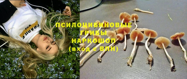 кокаин премиум Карпинск